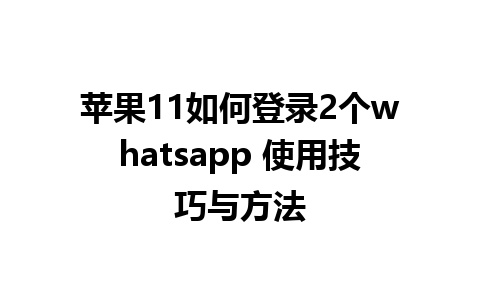 苹果11如何登录2个whatsapp 使用技巧与方法